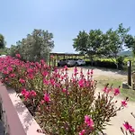 Il Micio * מרינה די קמפו