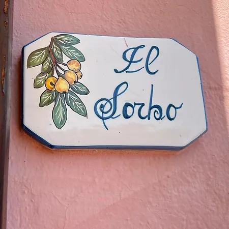 Appartement Il Micio