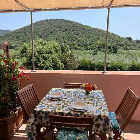 Appartement Il Micio