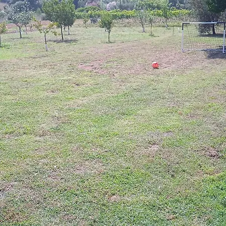 Il Micio Marina di Campo