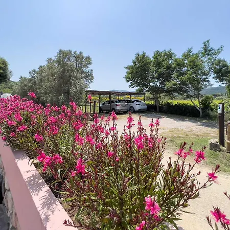 Il Micio * Marina di Campo