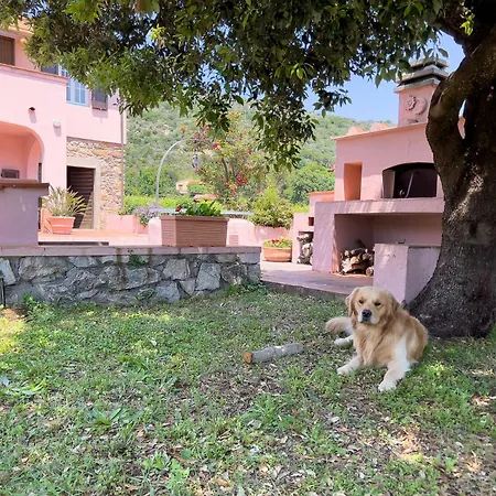 Il Micio