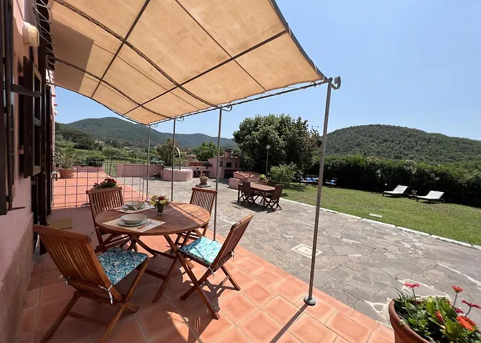 Il Micio * 坎普码港