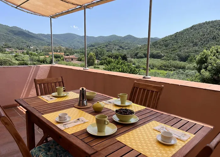 Il Micio 坎普码港