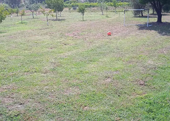 Il Micio 坎普码港