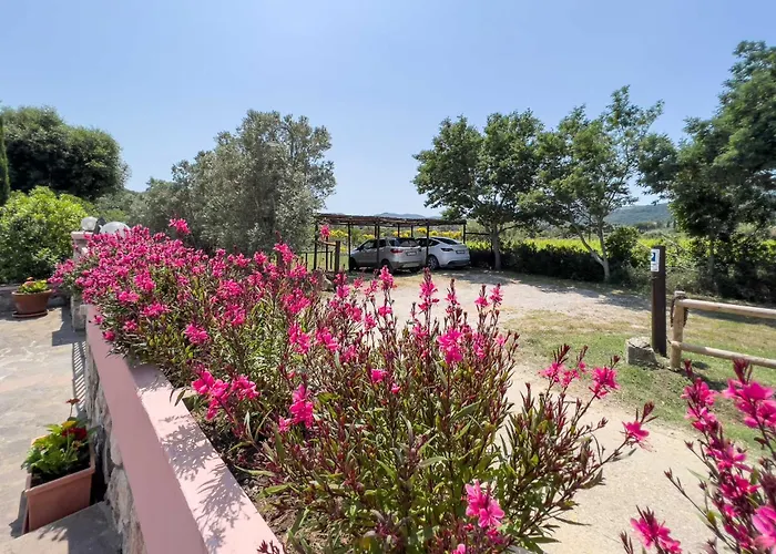 Il Micio * 坎普码港