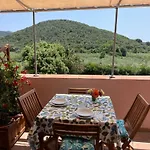 Apartment Il Micio