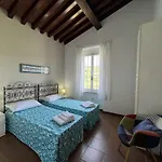 Il Micio