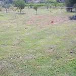 Il Micio Marina di Campo