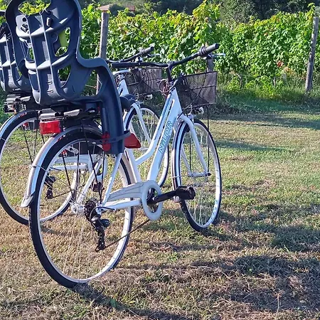 Il Micio Apartman Marina di Campo
